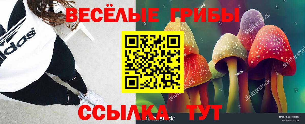 Галлюциногенные грибы GOLDEN TEACHER  Вход с VPN  Красноярск  Псилоцибиновые грибы Magic Shrooms 